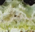 Wide Polished Prehnite Slab - Australia #95214-1